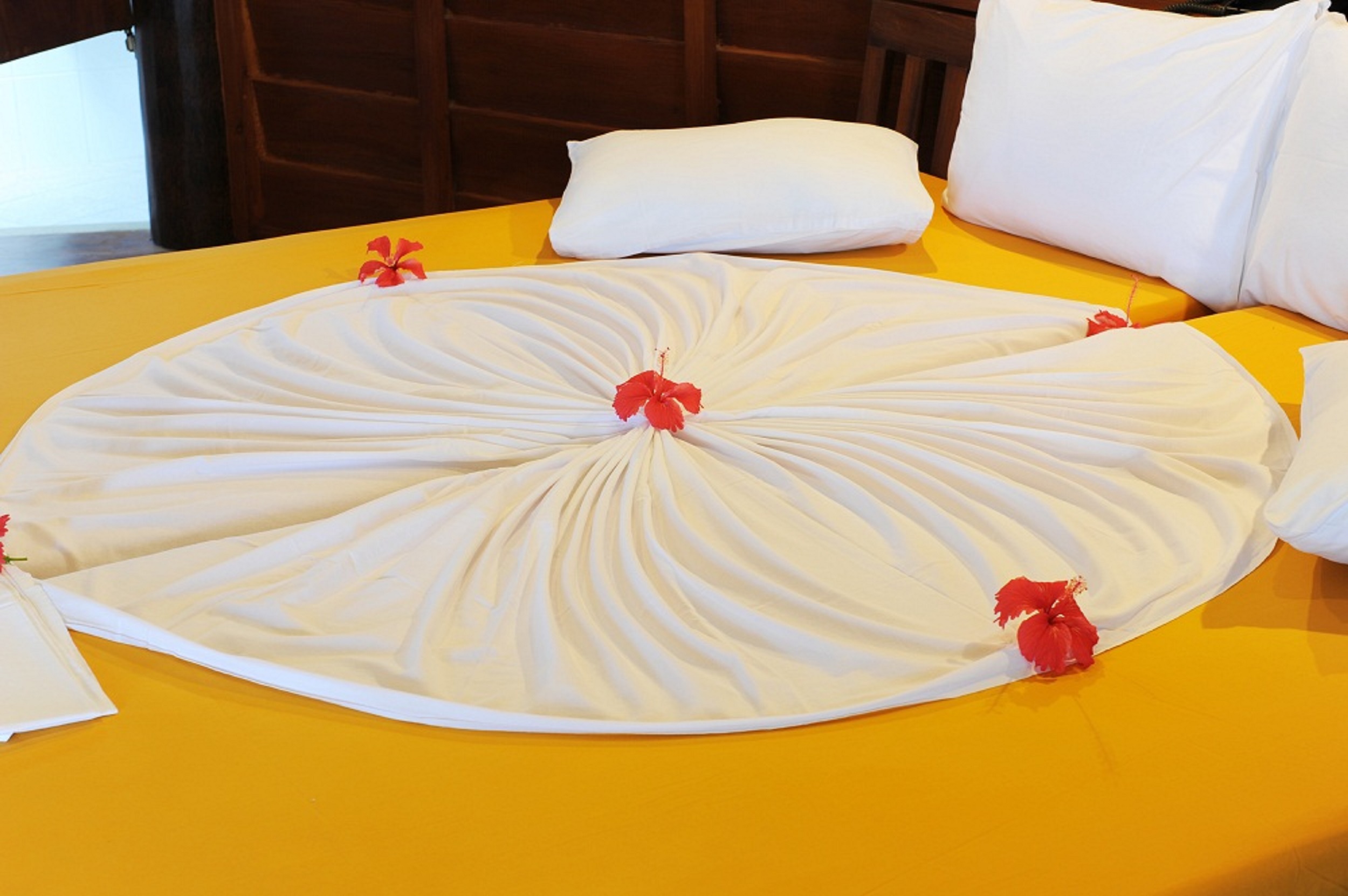 STM_7227.jpg STM_7227.jpg