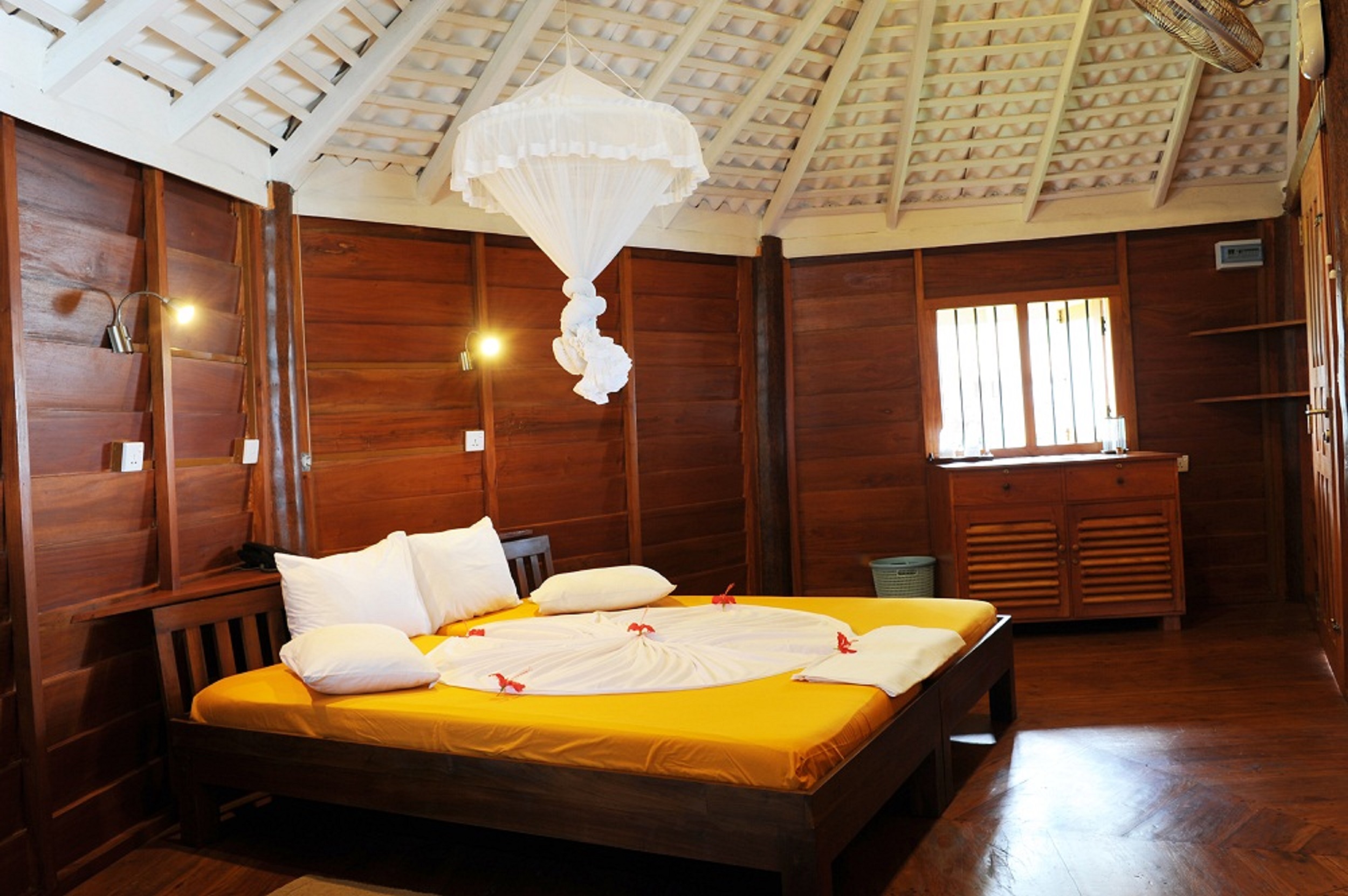 STM_7234.jpg STM_7234.jpg