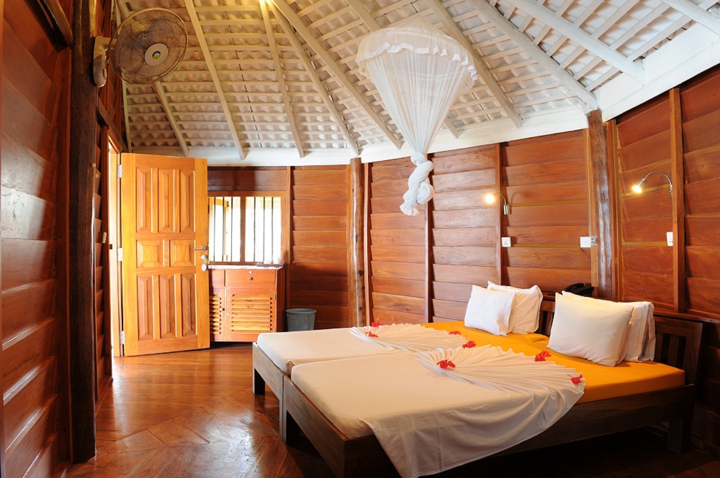 STM_7299.jpg STM_7299.jpg