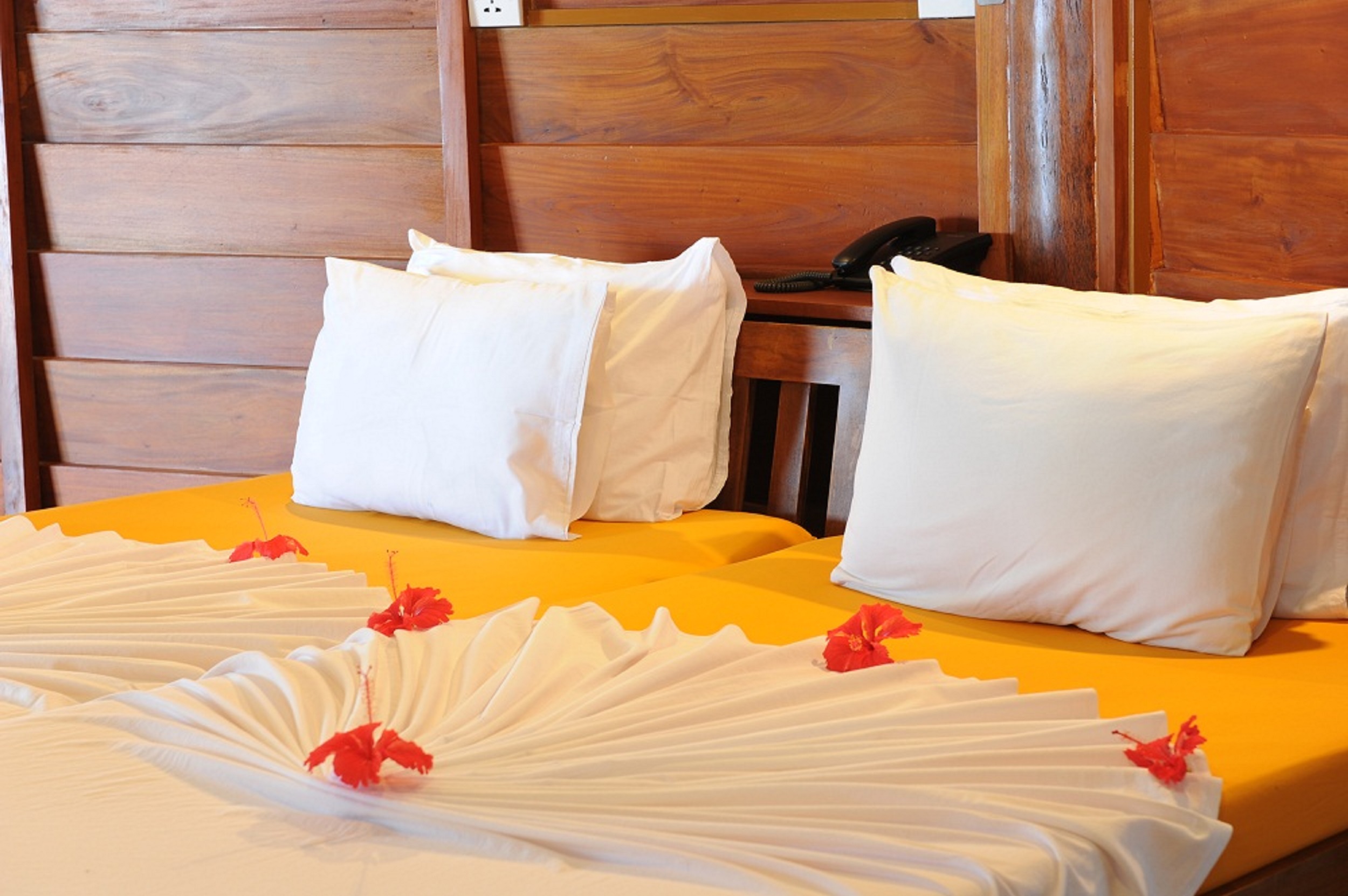 STM_7305.jpg STM_7305.jpg