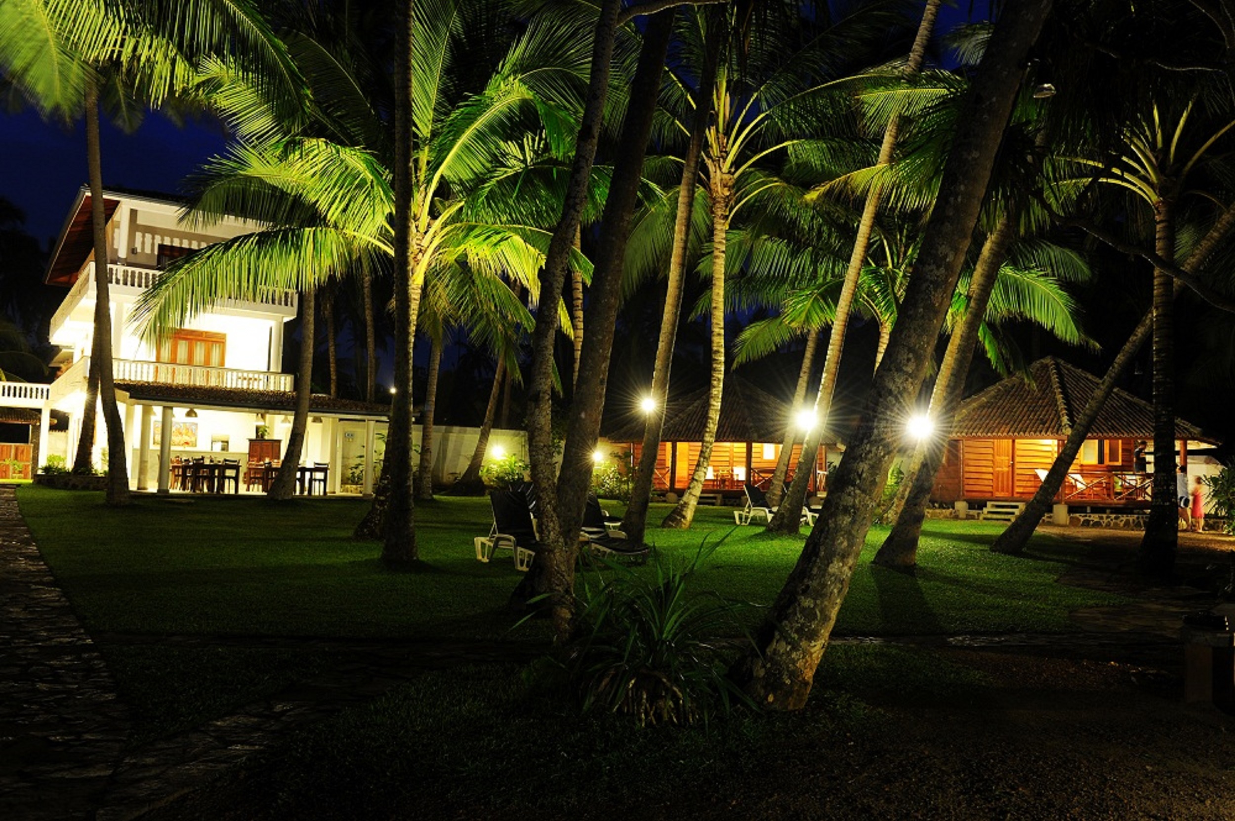 STM_7781.jpg STM_7781.jpg