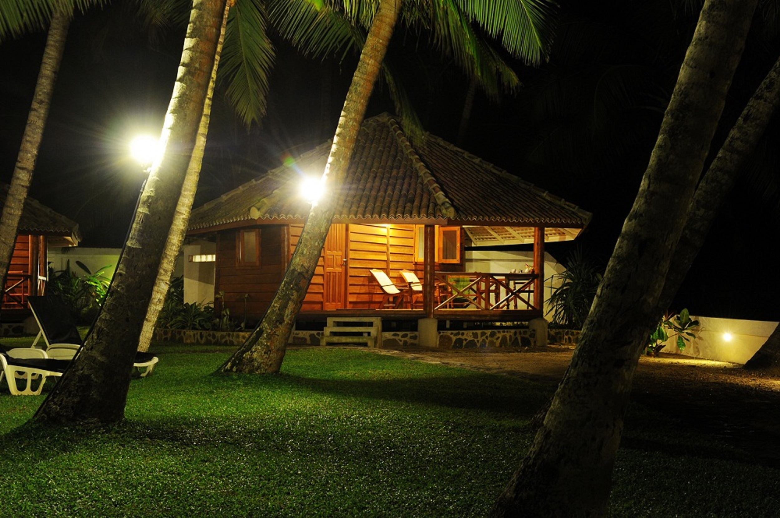 STM_7816.jpg STM_7816.jpg