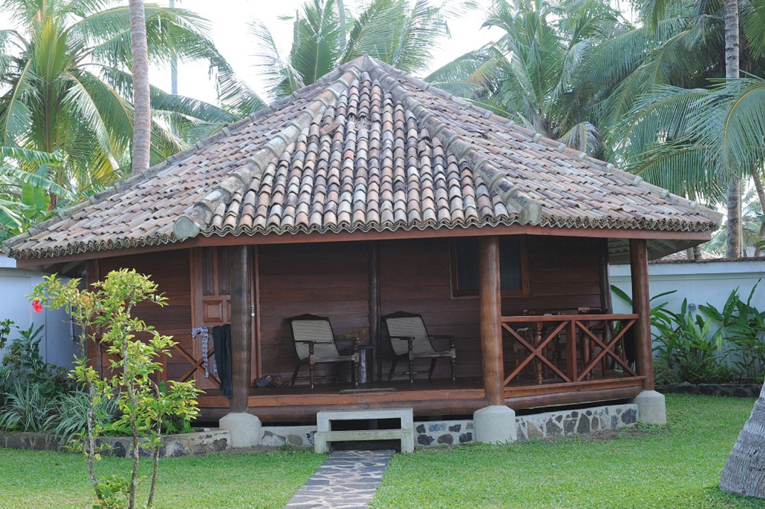 STM_7915.jpg STM_7915.jpg