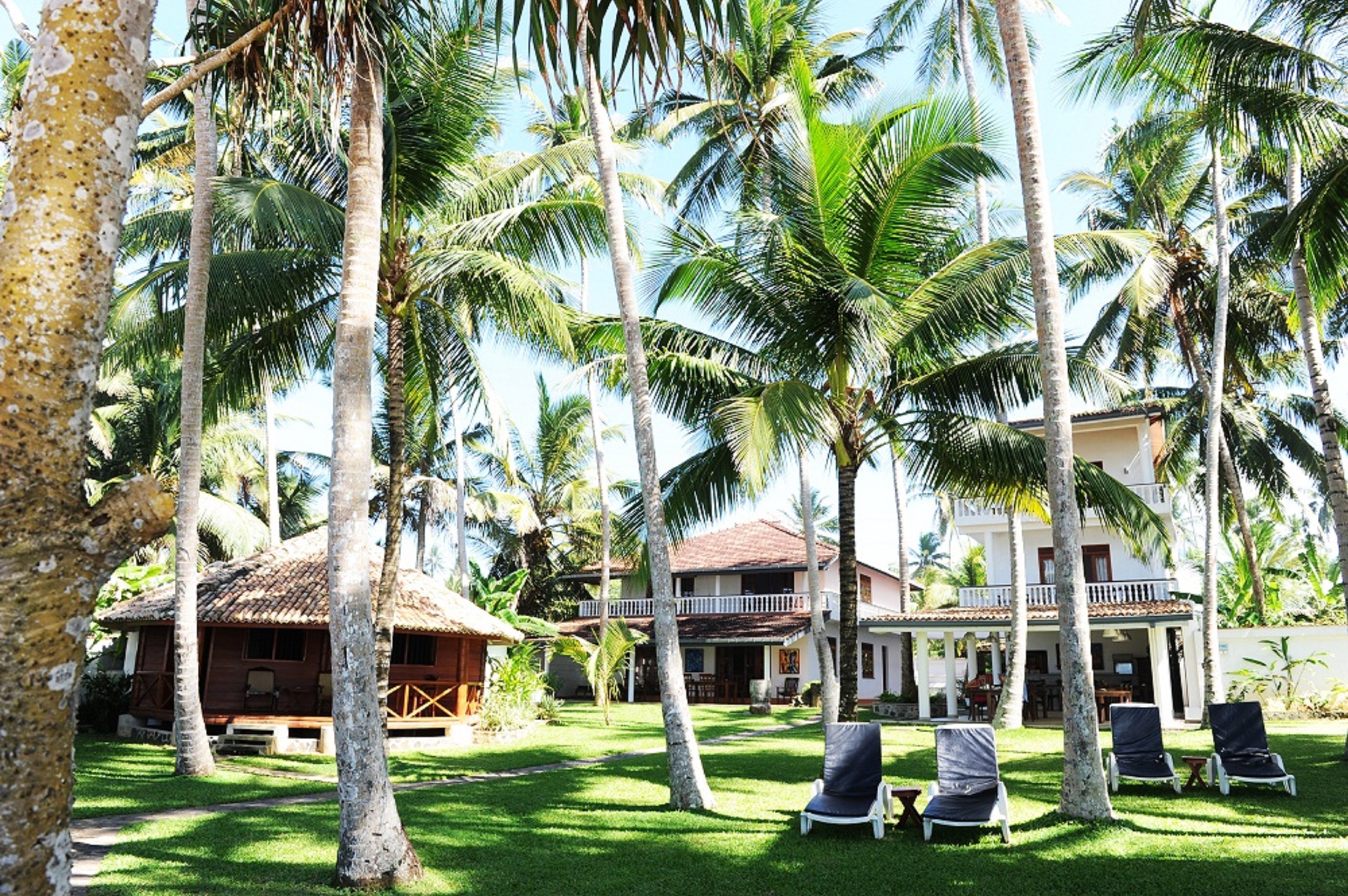 STM_8076.jpg STM_8076.jpg