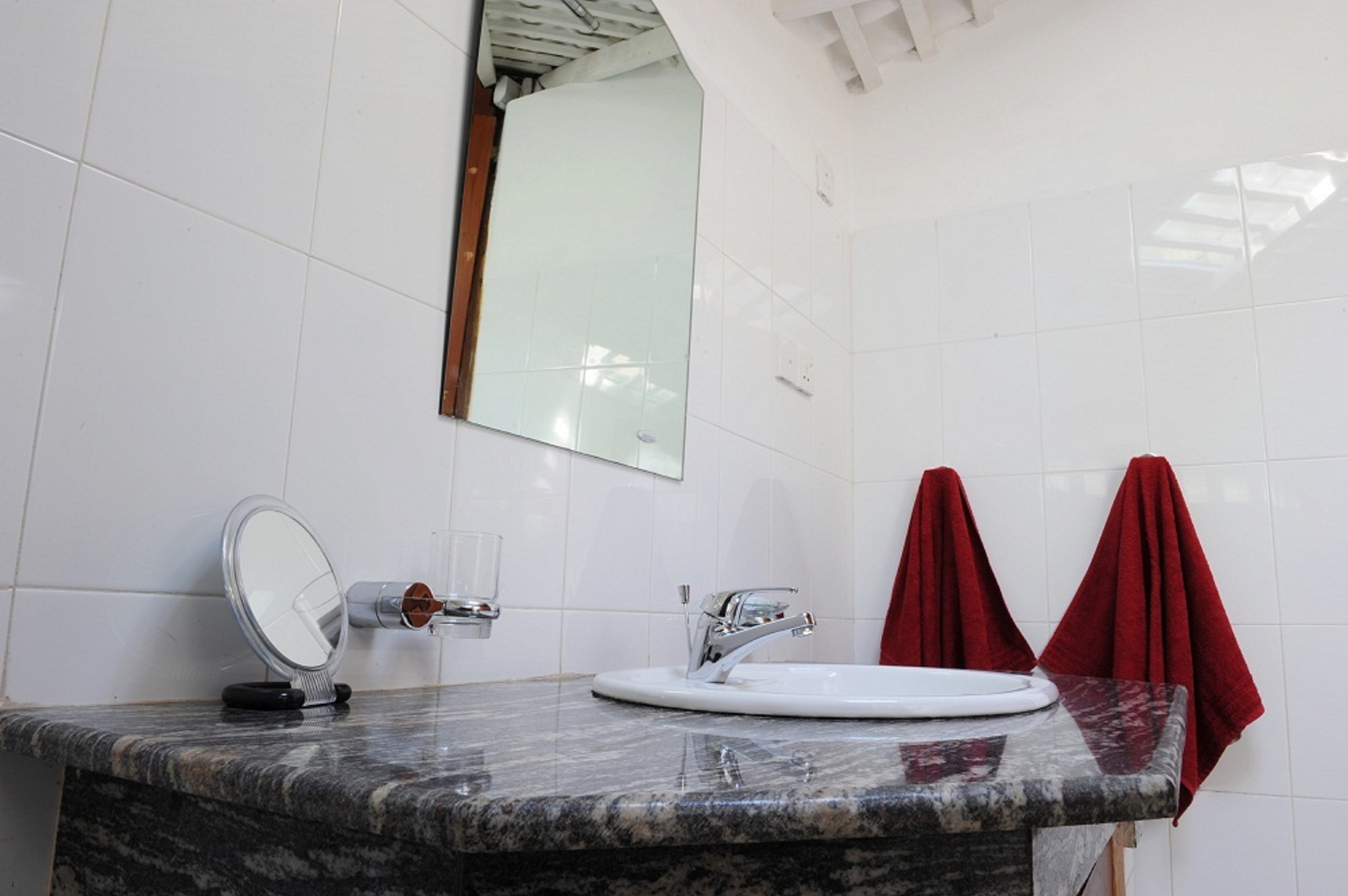 STM_8165.jpg STM_8165.jpg