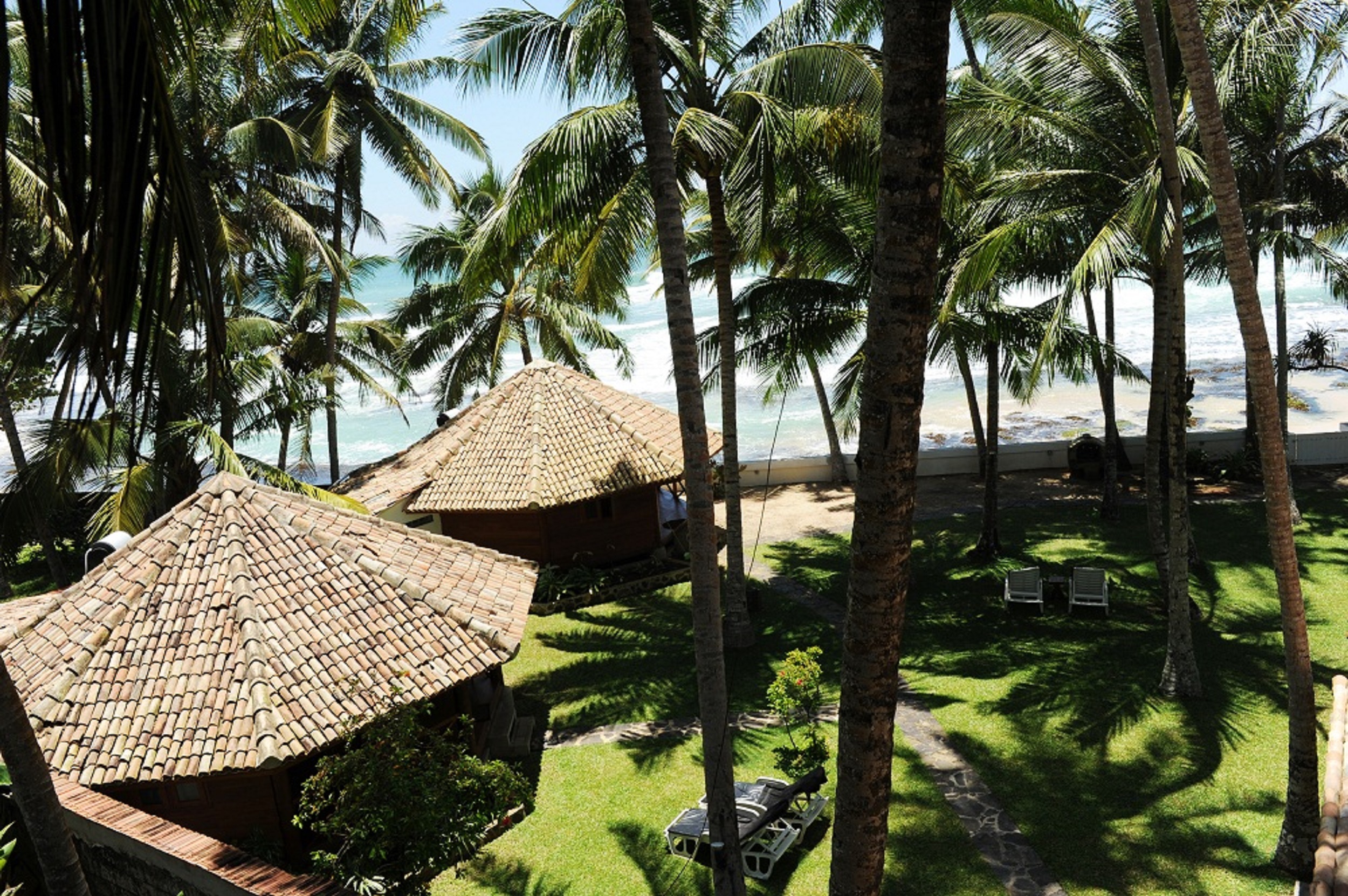 STM_8407.jpg STM_8407.jpg