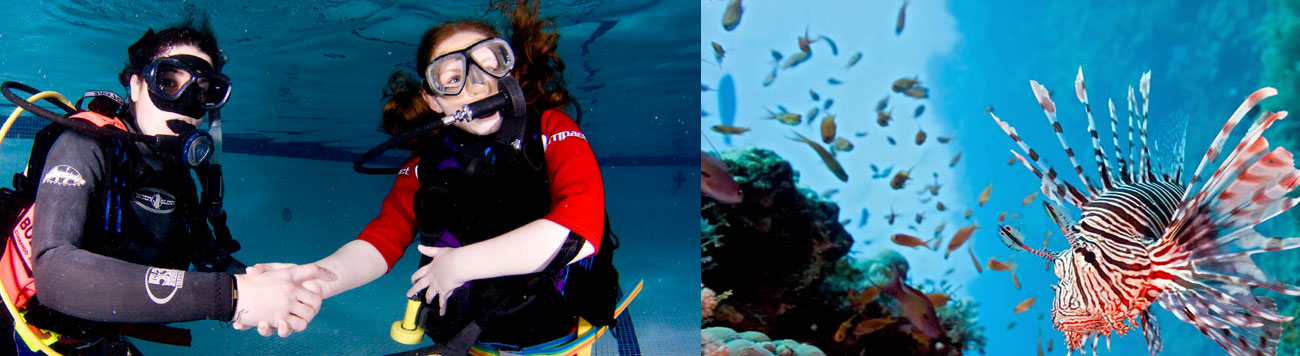 Assistant Instructor PADI Course