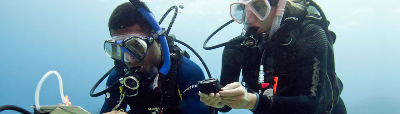 Underwater Navigation PADI Specialties