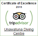 Unawatuna Diving Center trip Advisor Certificate