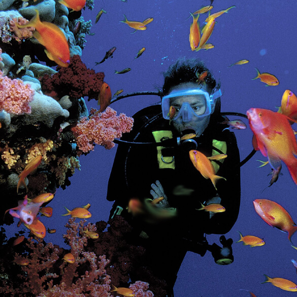 CORAL REEF CONSERVATION