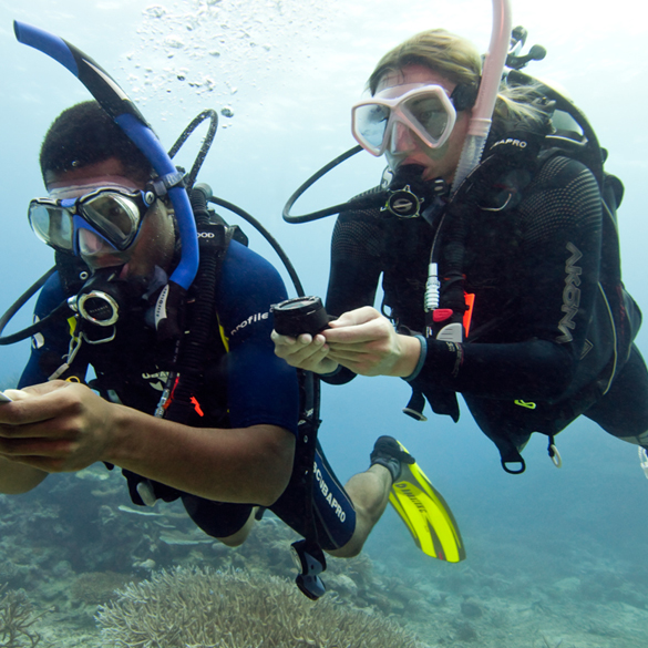 UNDERWATER NAVIGATION